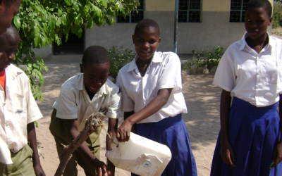 Rushing into Solutions without Fully Grasping the Problem